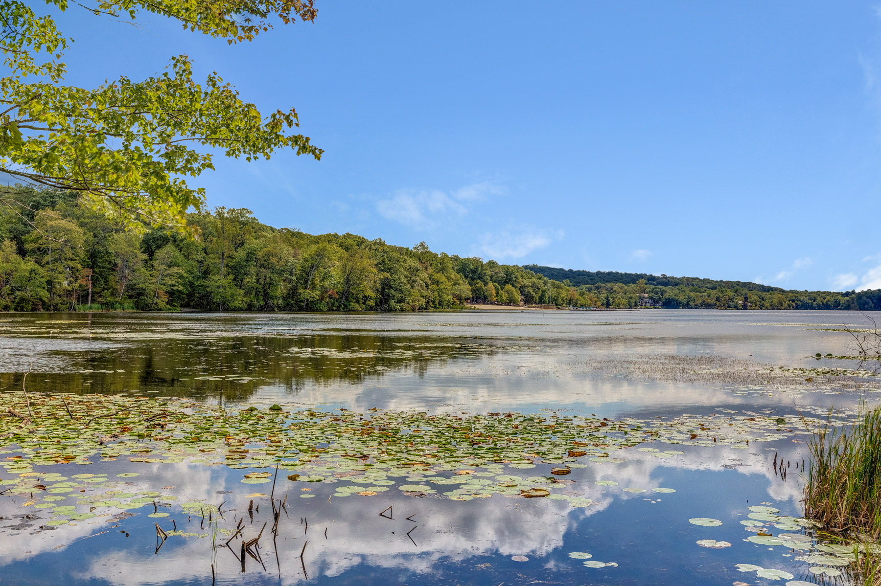 Smoke Rise Lake in summer